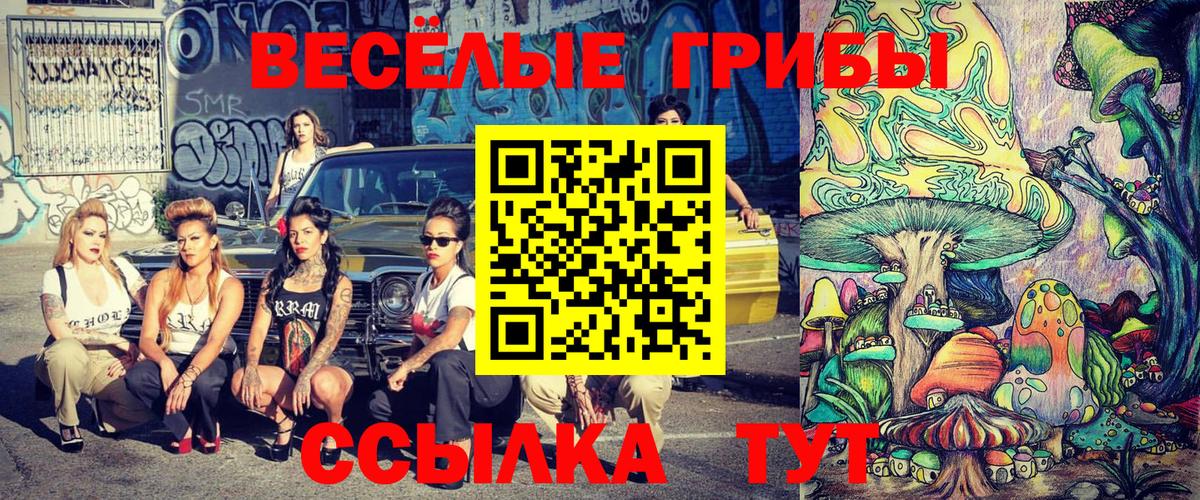 Астрахань  Псилоцибиновые грибы ЛСД  Вход с VPN 
